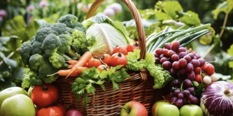 Sürdürülebilir Beslenme Nedir?